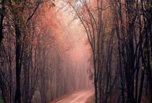 贝克伦姆连胜完胜，夺得宝贵三分