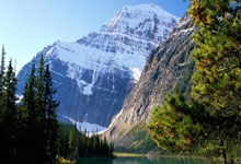 热刺憾负拜仁慕尼黑，无缘欧冠四强