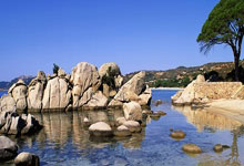 失利后的反思，球队正面临调整挑战！