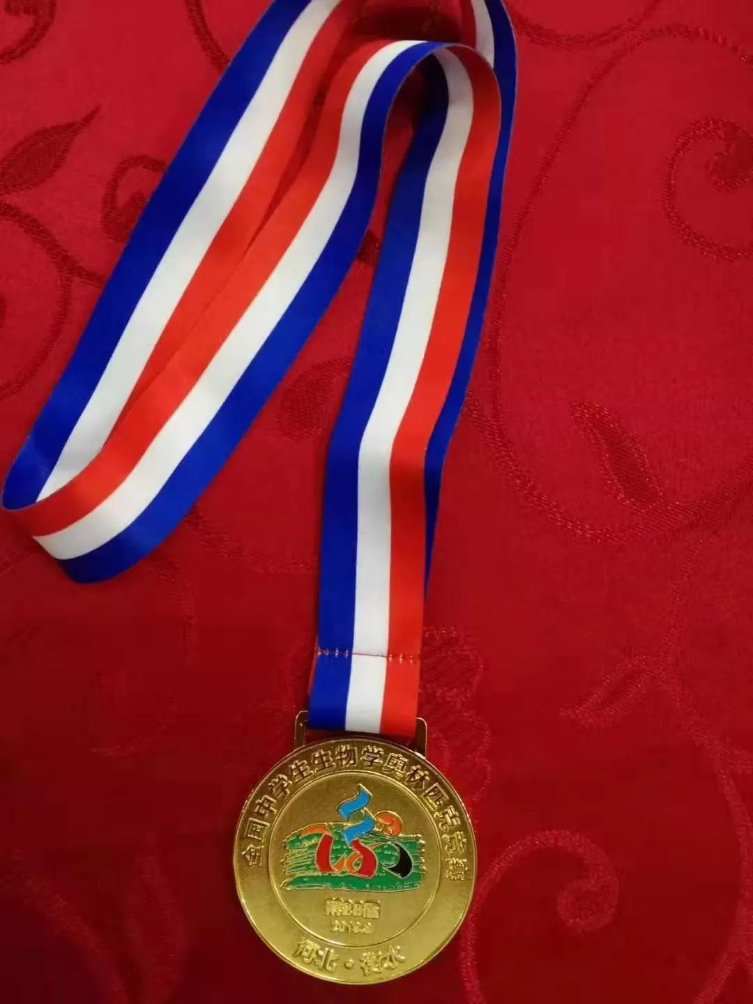 阿拉伯联合酋长国选手斩获金牌