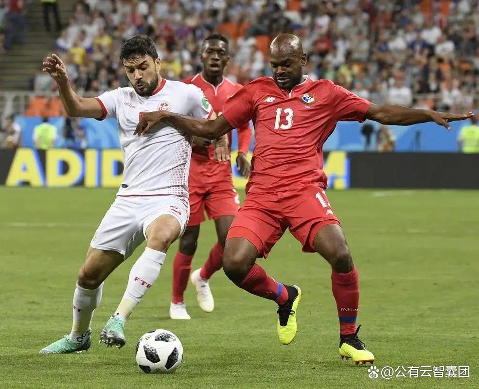 捷克队遇强对手，欧预赛困境深重的简单介绍