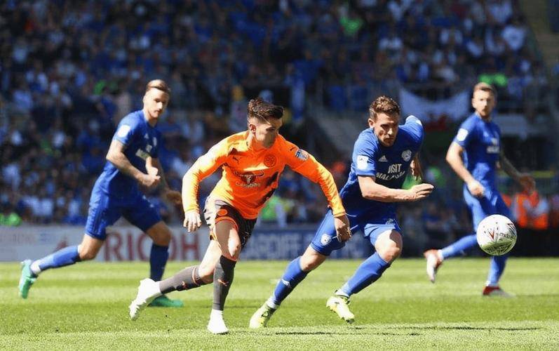 水晶宫客场负于沃特福德，保级形势岌岌可危的简单介绍